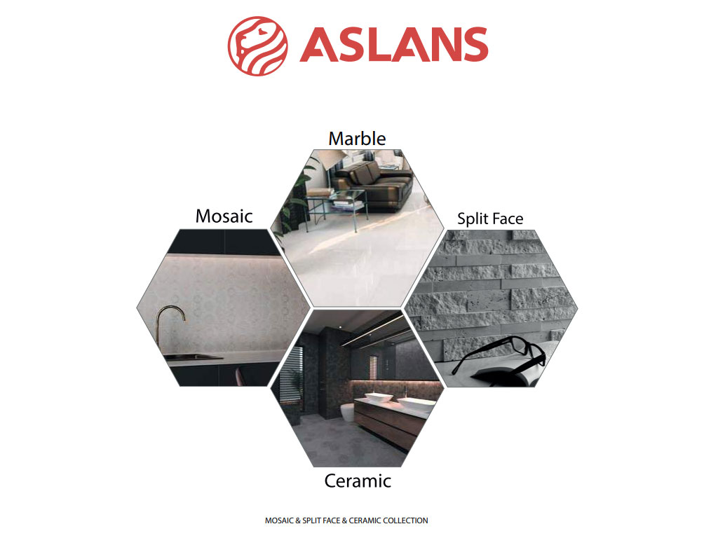 Aslans Mosaic